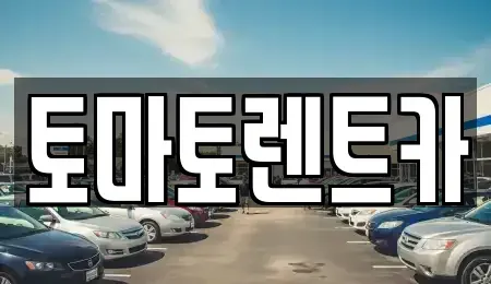 경기도 안성시 가사동 렌트카 전문 토마토렌트카