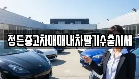경기도 안성시 고삼면 중고차 전문 정든중고차매매내차팔기수출시세