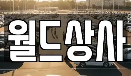 경기도 안성시 봉산동 중고차매매 전문 월드상사