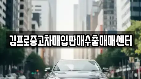 경기도 안성시 봉산동 중고차매입 전문 김프로중고차매입판매수출매매센터