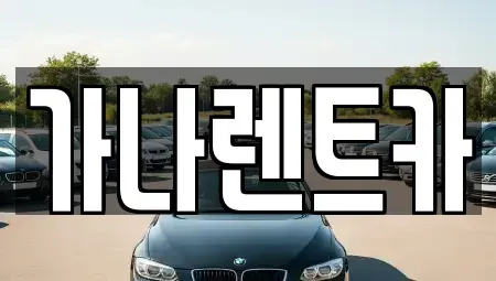 경기도 안성시 현수동 렌트카 전문 가나렌트카