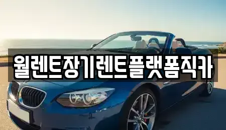 경기도 안성시 현수동 렌트카 전문 월렌트장기렌트플랫폼직카
