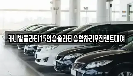 경기도 안성시 현수동 렌트카 전문 카니발쏠라티15인승솔라티승합차리무진렌트대여