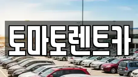 경기도 안성시 현수동 렌트카 전문 토마토렌트카