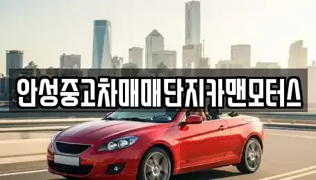 경기도 안성시 현수동 중고차 전문 안성중고차매매단지카맨모터스