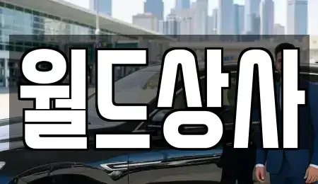 경기도 안성시 현수동 중고차 전문 월드상사