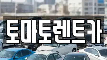 경기도 양주시 광사동 렌트카 전문 토마토렌트카