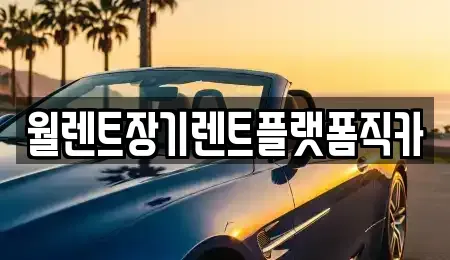 경기도 양주시 광적면 렌트카 전문 월렌트장기렌트플랫폼직카