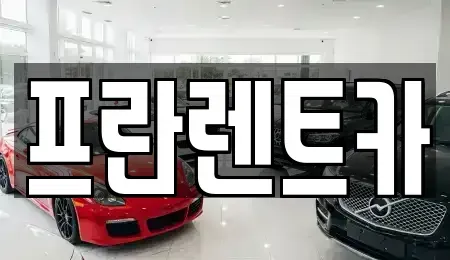 경기도 양주시 광적면 렌트카 전문 프란렌트카