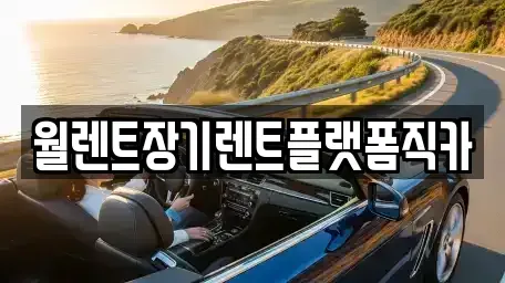 경기도 양주시 광적면 장기렌트카 전문 월렌트장기렌트플랫폼직카