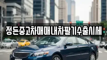 경기도 양주시 광적면 중고차매매 전문 정든중고차매매내차팔기수출시세