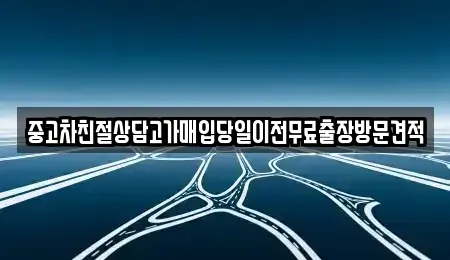 경기도 양주시 광적면 중고차매매,단기렌트카,중고차매입,장기렌트카,중고차,렌트카