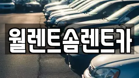 경기도 양주시 마전동 렌트카 전문 월렌트솜렌트카