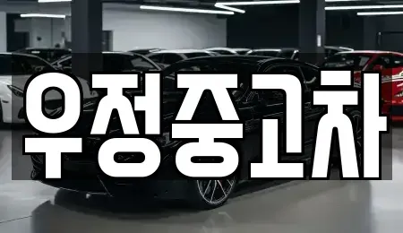경기도 양주시 마전동 중고차 전문 우정중고차