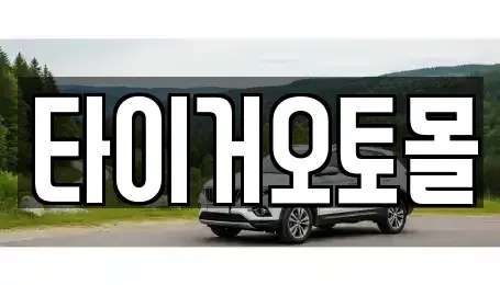 경기도 양주시 마전동 중고차 전문 타이거오토몰
