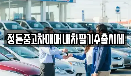 경기도 여주시 금사면 중고차매매 전문 정든중고차매매내차팔기수출시세