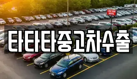 경기도 여주시 금사면 중고차매매 전문 타타타중고차수출