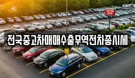 경기도 오산시 고현동 중고차 전문 전국중고차매매수출무역전차종시세
