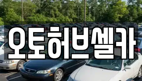 경기도 용인시 기흥구 신갈동 중고차매매 전문 오토허브셀카