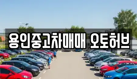 경기도 용인시 기흥구 신갈동 중고차매매 전문 용인중고차매매 오토허브