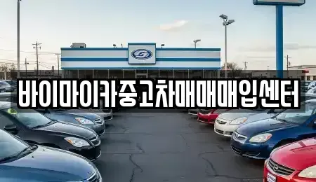 경기도 용인시 기흥구 신갈동 중고차매입 전문 바이마이카중고차매매매입센터