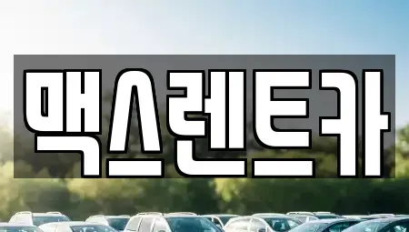 경기도 용인시 기흥구 지곡동 렌트카 전문 맥스렌트카