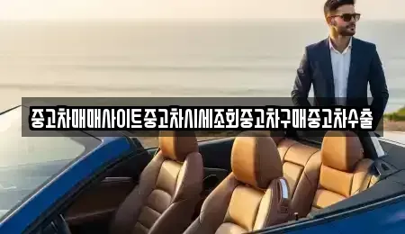 경기도 용인시 기흥구 지곡동 중고차 전문 중고차매매사이트중고차시세조회중고차구매중고차수출