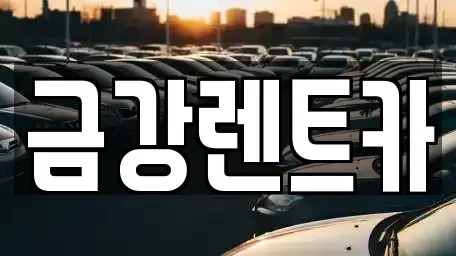 경기도 용인시 수지구 상현동 렌트카 전문 금강렌트카