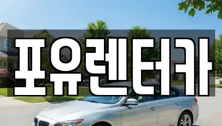경기도 용인시 수지구 상현동 장기렌트카 전문 포유렌터카