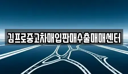 경기도 용인시 수지구 상현동 중고차 전문 김프로중고차매입판매수출매매센터
