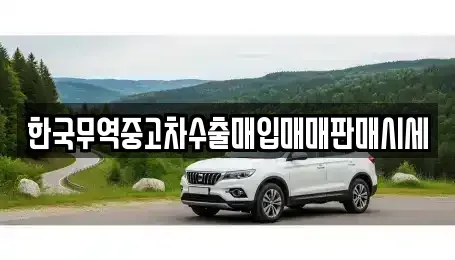 경기도 용인시 수지구 상현동 중고차 전문 한국무역중고차수출매입매매판매시세