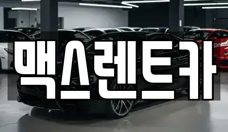 경기도 용인시 처인구 호동 렌트카 전문 맥스렌트카