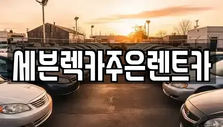 경기도 용인시 처인구 호동 렌트카,단기렌트카,장기렌트카,중고차,중고차매매,중고차매입