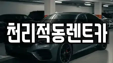 경기도 용인시 처인구 호동 렌트카 전문 천리적동렌트카