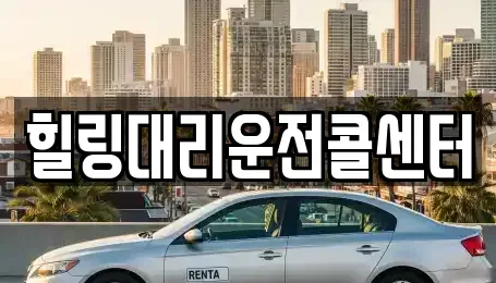 경기도 용인시 처인구 호동 렌트카 전문 힐링대리운전콜센터