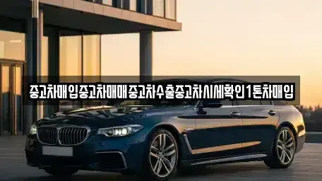 경기도 용인시 처인구 호동 중고차 전문 중고차매입중고차매매중고차수출중고차시세확인1톤차매입