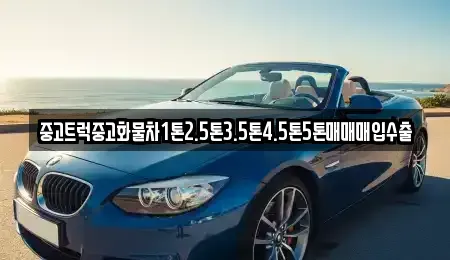 경기도 용인시 처인구 호동 중고차 전문 중고트럭중고화물차1톤2.5톤3.5톤4.5톤5톤매매매입수출