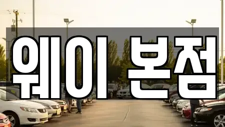 경기도 의왕시 오전동 단기렌트카 전문 웨이 본점