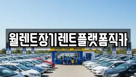 경기도 의정부시 신곡동 장기렌트카 전문 월렌트장기렌트플랫폼직카