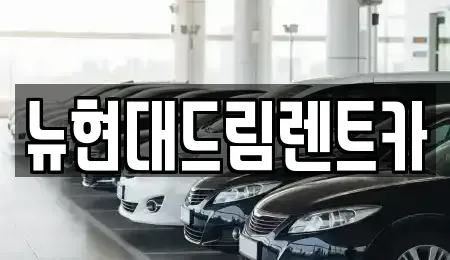 경기도 이천시 대포동 렌트카 전문 뉴현대드림렌트카