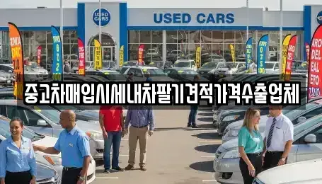 경기도 이천시 대포동 중고차매입 전문 중고차매입시세내차팔기견적가격수출업체