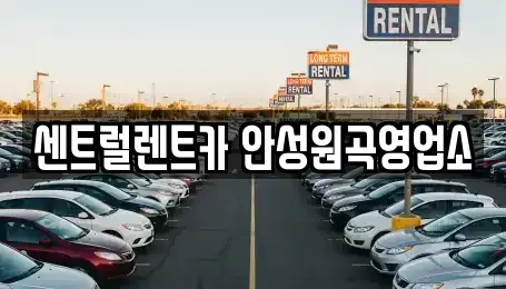 경기도 평택시 도일동 단기렌트카 전문 센트럴렌트카 안성원곡영업소