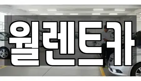 경기도 평택시 도일동 렌트카 전문 월렌트카
