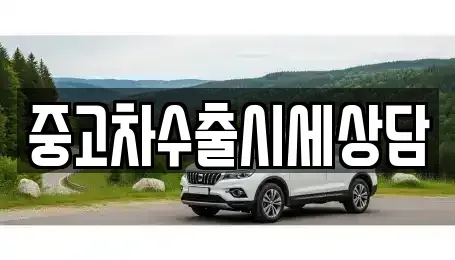 경기도 평택시 도일동 중고차매매 전문 중고차수출시세상담