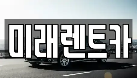 경기도 평택시 평택동 렌트카 전문 미래렌트카
