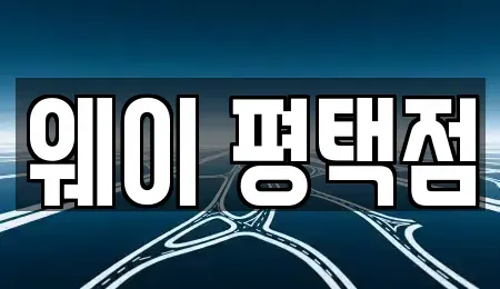 경기도 평택시 평택동 장기렌트카 전문 웨이 평택점