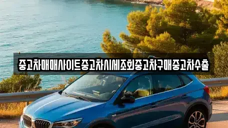 경기도 평택시 평택동 중고차매매 전문 중고차매매사이트중고차시세조회중고차구매중고차수출