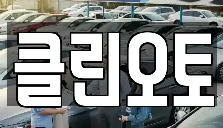 경기도 평택시 평택동 중고차매매 전문 클린오토