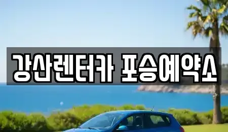 경기도 평택시 포승읍 렌트카 전문 강산렌터카 포승예약소