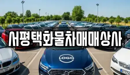 경기도 평택시 포승읍 중고차매매 전문 서평택화물차매매상사